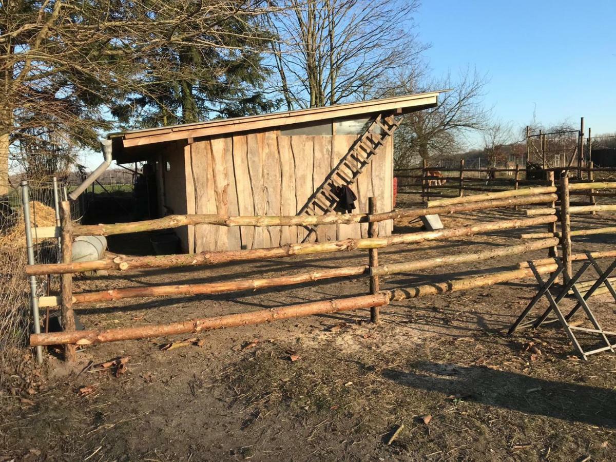 Landhaus Chlosta Buttelkow Kültér fotó